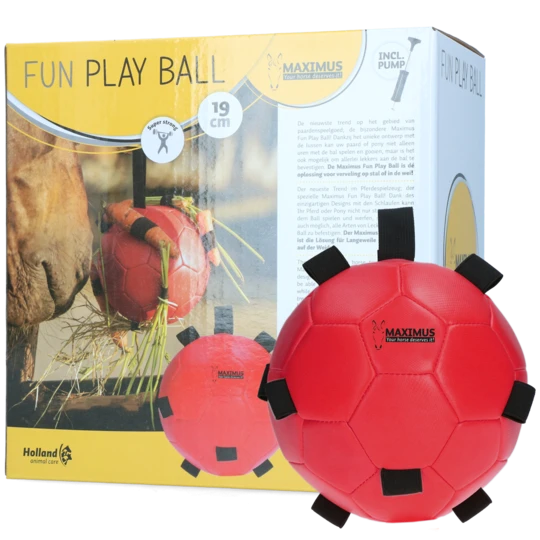 MAXI53011-maximus-fun-play-ball-pink